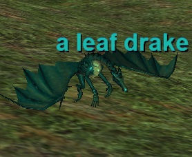 a leaf drake
